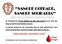 CAMPAÑA SOLIDARIA DE DONACION DE SANGRE PROMOVIDA POR EL ILUSTRE CABILDO
