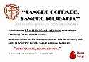 II CAMPAÑA SOLIDARIA DE DONACION DE SANGRE PROMOVIDA POR EL ILUSTRE CABILDO