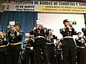 V CERTAMEN DE BANDAS DE CORNETAS Y TAMBORES CIUDAD DE TOTANA - Foto 5